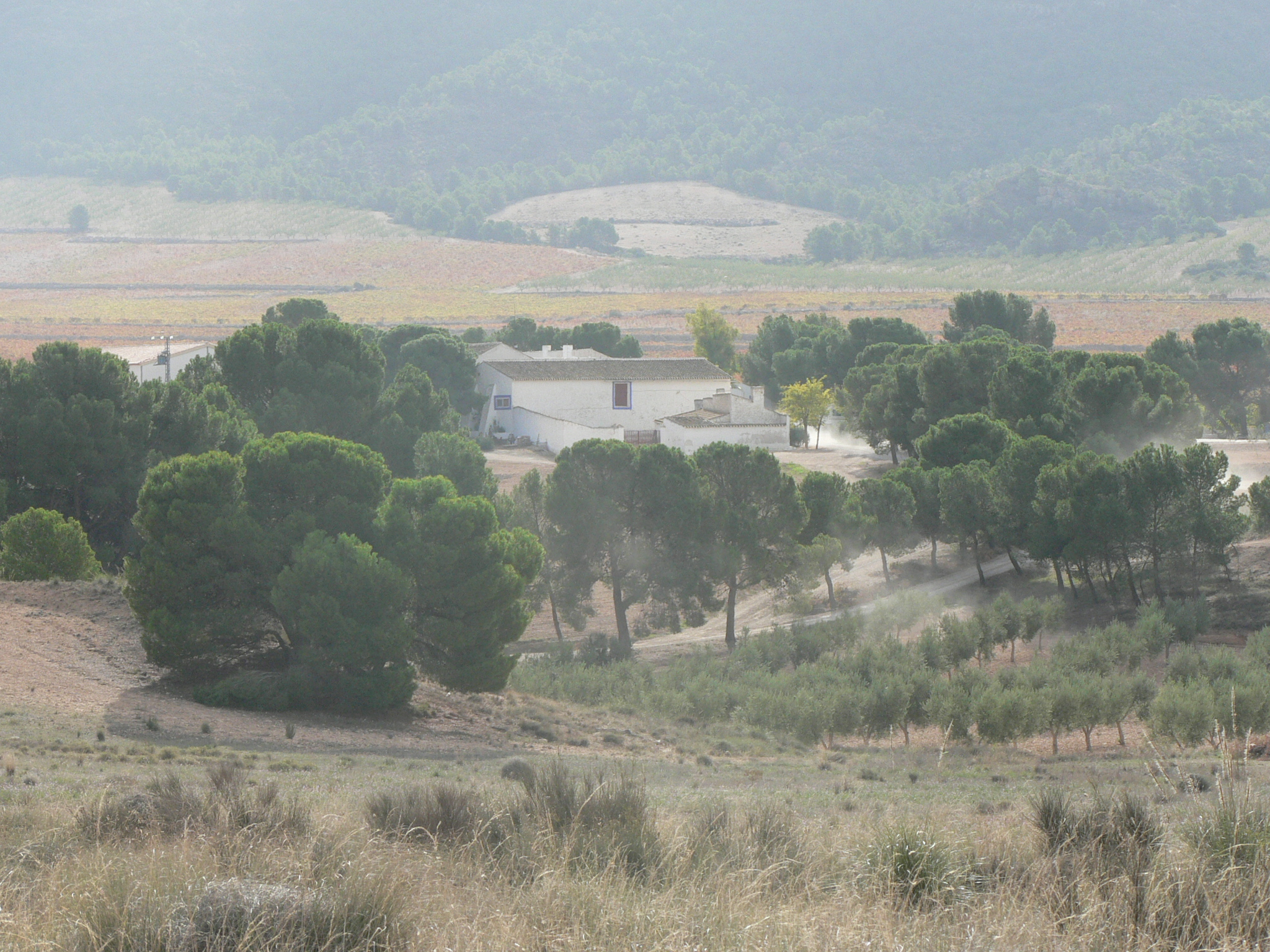 Casa Castillo in Jumilla